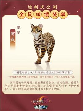 新开单职业天龙八部私服